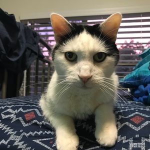 Meet your Posher, John